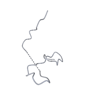 16591_8cdl_8_v1-6
80S S. cerevisiae ribosome with ligands in hybrid-2 pre-translocation (PRE-H2) complex