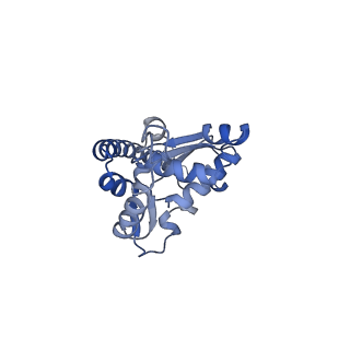 16591_8cdl_A_v1-5
80S S. cerevisiae ribosome with ligands in hybrid-2 pre-translocation (PRE-H2) complex