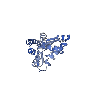 16591_8cdl_A_v1-6
80S S. cerevisiae ribosome with ligands in hybrid-2 pre-translocation (PRE-H2) complex