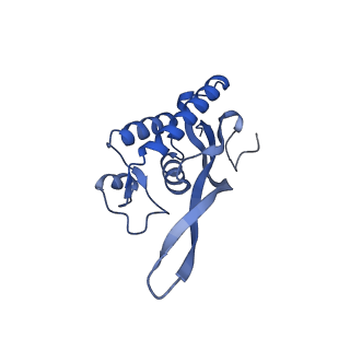 16591_8cdl_B_v1-5
80S S. cerevisiae ribosome with ligands in hybrid-2 pre-translocation (PRE-H2) complex