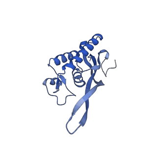 16591_8cdl_B_v1-6
80S S. cerevisiae ribosome with ligands in hybrid-2 pre-translocation (PRE-H2) complex