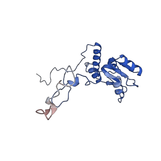 16591_8cdl_C_v1-6
80S S. cerevisiae ribosome with ligands in hybrid-2 pre-translocation (PRE-H2) complex