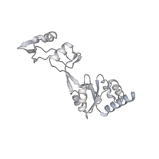 16591_8cdl_DD_v1-5
80S S. cerevisiae ribosome with ligands in hybrid-2 pre-translocation (PRE-H2) complex