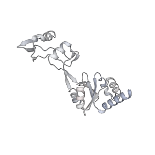 16591_8cdl_DD_v1-6
80S S. cerevisiae ribosome with ligands in hybrid-2 pre-translocation (PRE-H2) complex