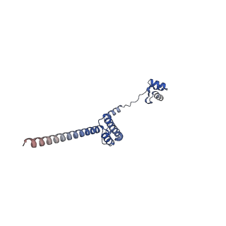 16591_8cdl_D_v1-5
80S S. cerevisiae ribosome with ligands in hybrid-2 pre-translocation (PRE-H2) complex