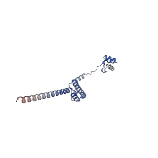 16591_8cdl_D_v1-6
80S S. cerevisiae ribosome with ligands in hybrid-2 pre-translocation (PRE-H2) complex