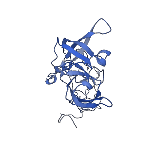 16591_8cdl_EE_v1-5
80S S. cerevisiae ribosome with ligands in hybrid-2 pre-translocation (PRE-H2) complex