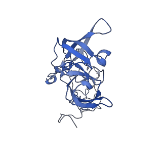 16591_8cdl_EE_v1-6
80S S. cerevisiae ribosome with ligands in hybrid-2 pre-translocation (PRE-H2) complex