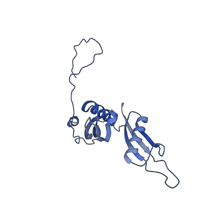 16591_8cdl_E_v1-6
80S S. cerevisiae ribosome with ligands in hybrid-2 pre-translocation (PRE-H2) complex