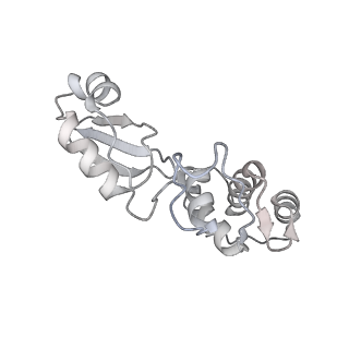 16591_8cdl_Ee_v1-5
80S S. cerevisiae ribosome with ligands in hybrid-2 pre-translocation (PRE-H2) complex