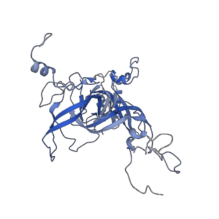 16591_8cdl_FF_v1-5
80S S. cerevisiae ribosome with ligands in hybrid-2 pre-translocation (PRE-H2) complex