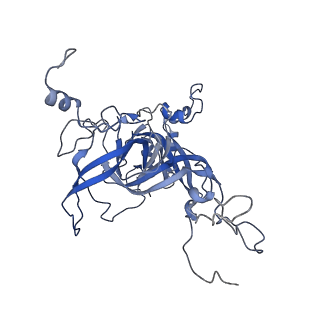 16591_8cdl_FF_v1-6
80S S. cerevisiae ribosome with ligands in hybrid-2 pre-translocation (PRE-H2) complex