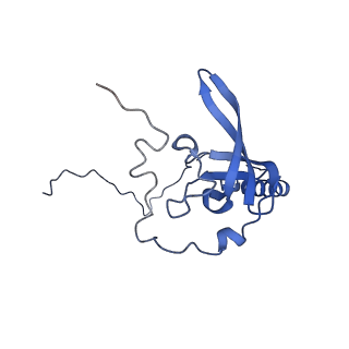 16591_8cdl_F_v1-5
80S S. cerevisiae ribosome with ligands in hybrid-2 pre-translocation (PRE-H2) complex