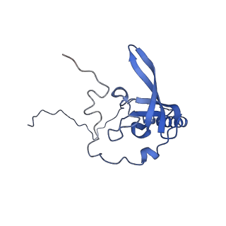 16591_8cdl_F_v1-6
80S S. cerevisiae ribosome with ligands in hybrid-2 pre-translocation (PRE-H2) complex