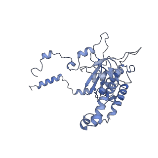 16591_8cdl_HH_v1-5
80S S. cerevisiae ribosome with ligands in hybrid-2 pre-translocation (PRE-H2) complex