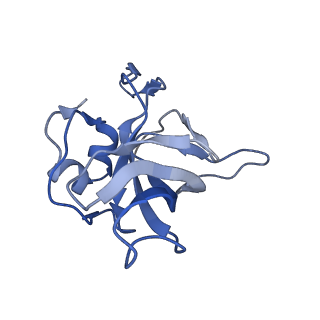 16591_8cdl_H_v1-5
80S S. cerevisiae ribosome with ligands in hybrid-2 pre-translocation (PRE-H2) complex