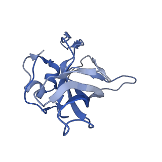 16591_8cdl_H_v1-6
80S S. cerevisiae ribosome with ligands in hybrid-2 pre-translocation (PRE-H2) complex