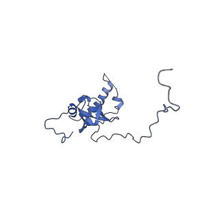 16591_8cdl_II_v1-5
80S S. cerevisiae ribosome with ligands in hybrid-2 pre-translocation (PRE-H2) complex