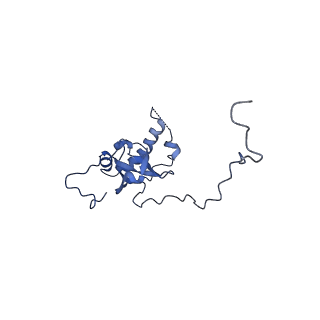 16591_8cdl_II_v1-6
80S S. cerevisiae ribosome with ligands in hybrid-2 pre-translocation (PRE-H2) complex