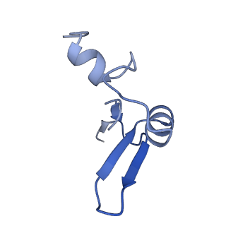 16591_8cdl_I_v1-6
80S S. cerevisiae ribosome with ligands in hybrid-2 pre-translocation (PRE-H2) complex