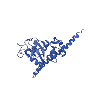 16591_8cdl_JJ_v1-5
80S S. cerevisiae ribosome with ligands in hybrid-2 pre-translocation (PRE-H2) complex
