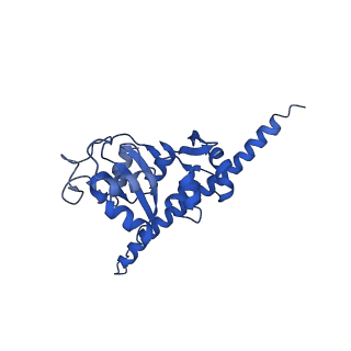 16591_8cdl_JJ_v1-6
80S S. cerevisiae ribosome with ligands in hybrid-2 pre-translocation (PRE-H2) complex