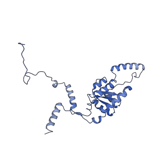 16591_8cdl_KK_v1-5
80S S. cerevisiae ribosome with ligands in hybrid-2 pre-translocation (PRE-H2) complex