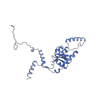 16591_8cdl_KK_v1-6
80S S. cerevisiae ribosome with ligands in hybrid-2 pre-translocation (PRE-H2) complex