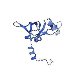 16591_8cdl_K_v1-5
80S S. cerevisiae ribosome with ligands in hybrid-2 pre-translocation (PRE-H2) complex