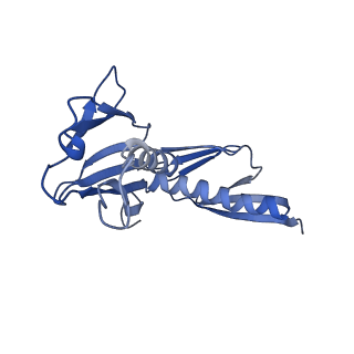 16591_8cdl_LL_v1-5
80S S. cerevisiae ribosome with ligands in hybrid-2 pre-translocation (PRE-H2) complex