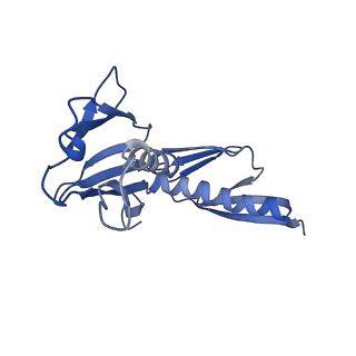 16591_8cdl_LL_v1-6
80S S. cerevisiae ribosome with ligands in hybrid-2 pre-translocation (PRE-H2) complex