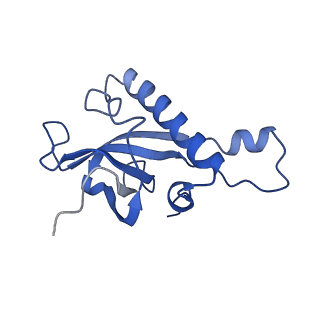 16591_8cdl_L_v1-5
80S S. cerevisiae ribosome with ligands in hybrid-2 pre-translocation (PRE-H2) complex