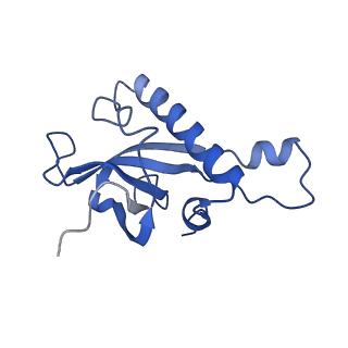 16591_8cdl_L_v1-6
80S S. cerevisiae ribosome with ligands in hybrid-2 pre-translocation (PRE-H2) complex