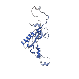 16591_8cdl_MM_v1-5
80S S. cerevisiae ribosome with ligands in hybrid-2 pre-translocation (PRE-H2) complex
