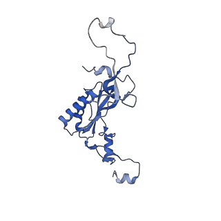 16591_8cdl_MM_v1-6
80S S. cerevisiae ribosome with ligands in hybrid-2 pre-translocation (PRE-H2) complex