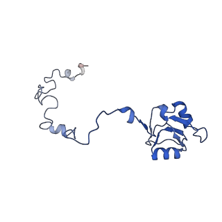 16591_8cdl_M_v1-5
80S S. cerevisiae ribosome with ligands in hybrid-2 pre-translocation (PRE-H2) complex
