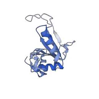 16591_8cdl_NN_v1-5
80S S. cerevisiae ribosome with ligands in hybrid-2 pre-translocation (PRE-H2) complex