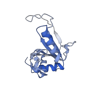 16591_8cdl_NN_v1-6
80S S. cerevisiae ribosome with ligands in hybrid-2 pre-translocation (PRE-H2) complex