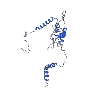 16591_8cdl_OO_v1-5
80S S. cerevisiae ribosome with ligands in hybrid-2 pre-translocation (PRE-H2) complex