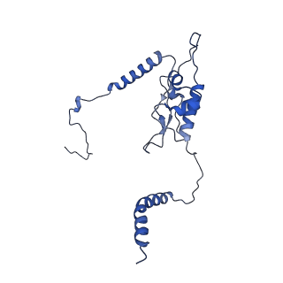 16591_8cdl_OO_v1-6
80S S. cerevisiae ribosome with ligands in hybrid-2 pre-translocation (PRE-H2) complex