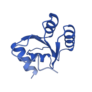 16591_8cdl_O_v1-5
80S S. cerevisiae ribosome with ligands in hybrid-2 pre-translocation (PRE-H2) complex