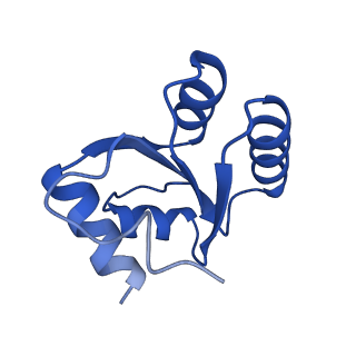 16591_8cdl_O_v1-6
80S S. cerevisiae ribosome with ligands in hybrid-2 pre-translocation (PRE-H2) complex