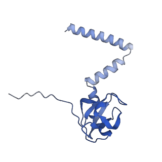 16591_8cdl_PP_v1-5
80S S. cerevisiae ribosome with ligands in hybrid-2 pre-translocation (PRE-H2) complex