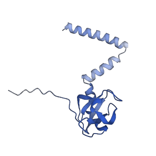 16591_8cdl_PP_v1-6
80S S. cerevisiae ribosome with ligands in hybrid-2 pre-translocation (PRE-H2) complex