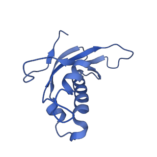 16591_8cdl_P_v1-5
80S S. cerevisiae ribosome with ligands in hybrid-2 pre-translocation (PRE-H2) complex