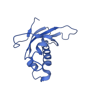 16591_8cdl_P_v1-6
80S S. cerevisiae ribosome with ligands in hybrid-2 pre-translocation (PRE-H2) complex