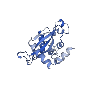 16591_8cdl_QQ_v1-5
80S S. cerevisiae ribosome with ligands in hybrid-2 pre-translocation (PRE-H2) complex