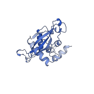 16591_8cdl_QQ_v1-6
80S S. cerevisiae ribosome with ligands in hybrid-2 pre-translocation (PRE-H2) complex