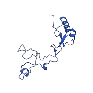 16591_8cdl_Q_v1-5
80S S. cerevisiae ribosome with ligands in hybrid-2 pre-translocation (PRE-H2) complex