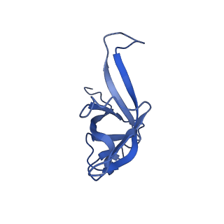16591_8cdl_R_v1-5
80S S. cerevisiae ribosome with ligands in hybrid-2 pre-translocation (PRE-H2) complex